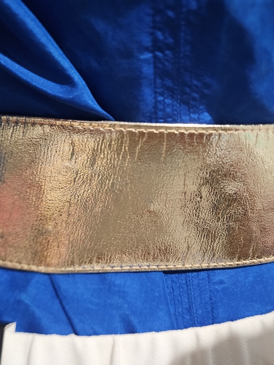 Vintage Metallic Gold Statement Waist Belt. Size Small main image 10